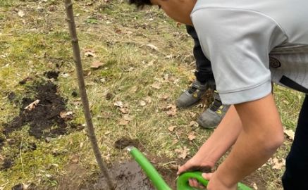 nachhaltiges Baumpflanzprojekt im Familienferienpark Dambeck mit Schulklassen